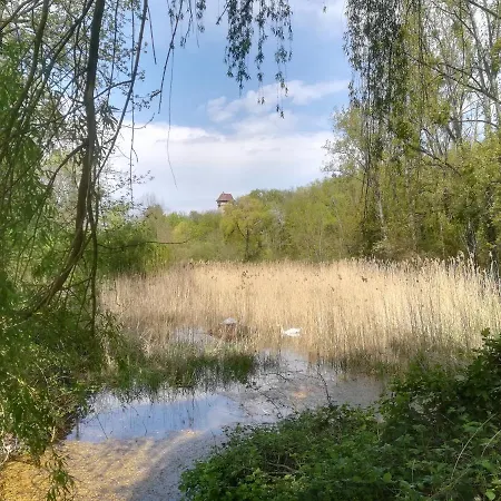 Ferienhaus Safari