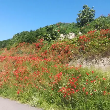 Hotel Safari Sasbach am Kaiserstuhl