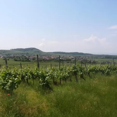 Ferienhaus Safari Holiday home