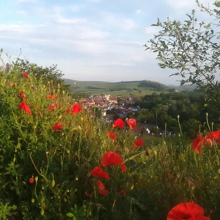 Safari Hotel Sasbach am Kaiserstuhl