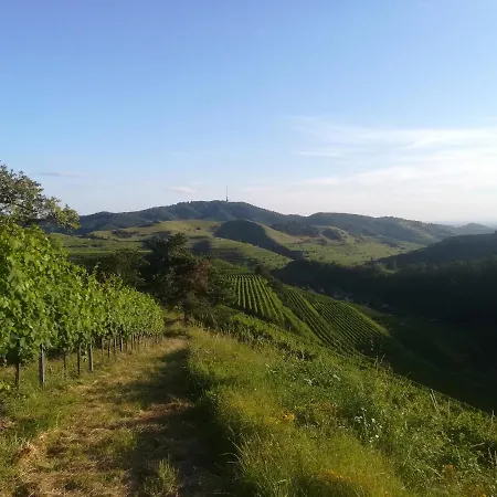 Hotel Safari Sasbach am Kaiserstuhl